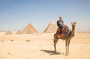 camel