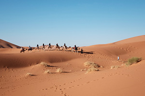 Topdeck travelers camel riding in moroccan desert.