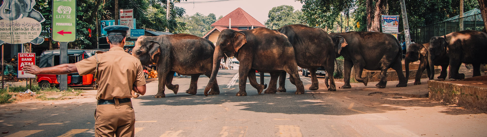 Discover Sri Lanka