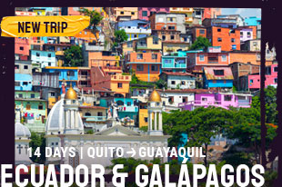 Topdeck Promotional image for Ecuador and Galapagos.