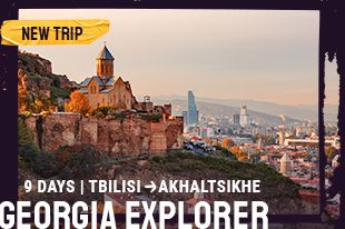 BRAND NEW TRIP