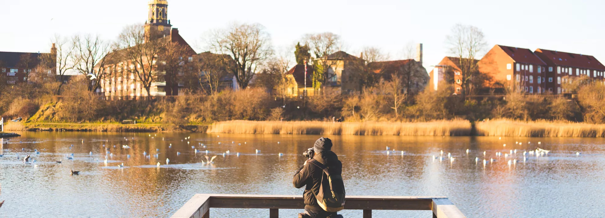 A photographer taking a picture of ducks in a pond
