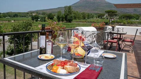 Italian antipasti on a table outside at a vinyard.