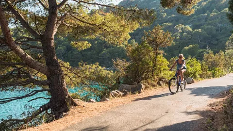 Person cycles down path in Mljet National Park in Croatia.