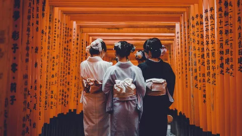 Three people wearing traditional kimonos walk through the torii gates of the Fushimi Inari Taisha shrine in Kyoto.
