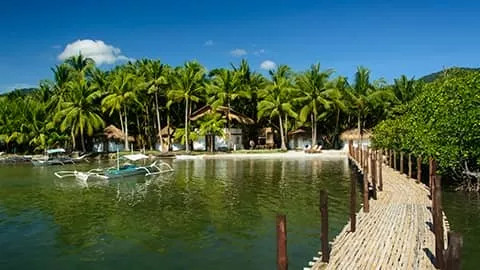 Resort near the beach with a wooden structure and lush tropical surroundings with palm trees. 
