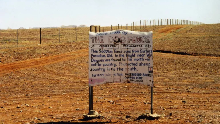 A road sign in Western Australia indicating that 'you're crossing The Dog Fence'