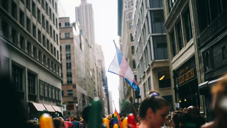A pride march with trans and LGBTQ+ flags in the air