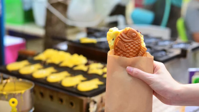 A person holding taiyaki cake