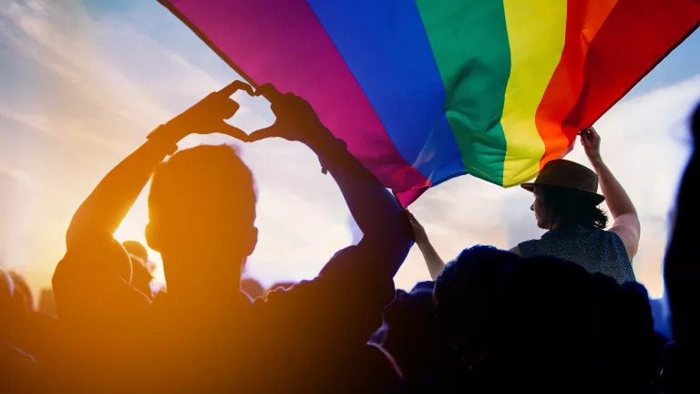 A silhouette of a crowd with a pride flag in the sky