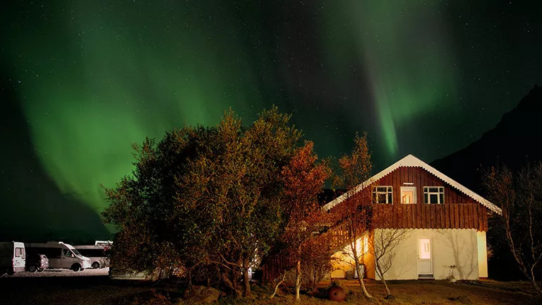 The Aurora Borealis lights up the sky at night over a wooden house and large tree.