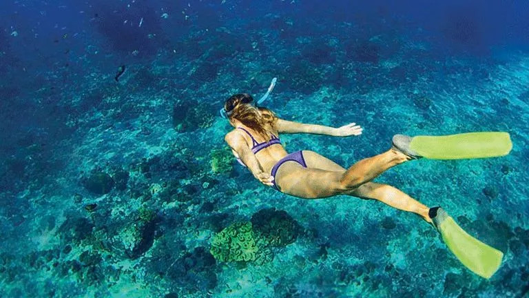 Person wearing snorkel and flippers swims along the sea bed with small fish swimming nearby.