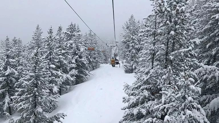Chairlift on snow covered mountain amongst snow covered trees.