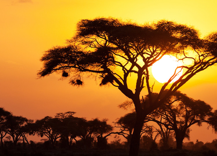 Kenya Tours - African Safari Tours with Topdeck Travel