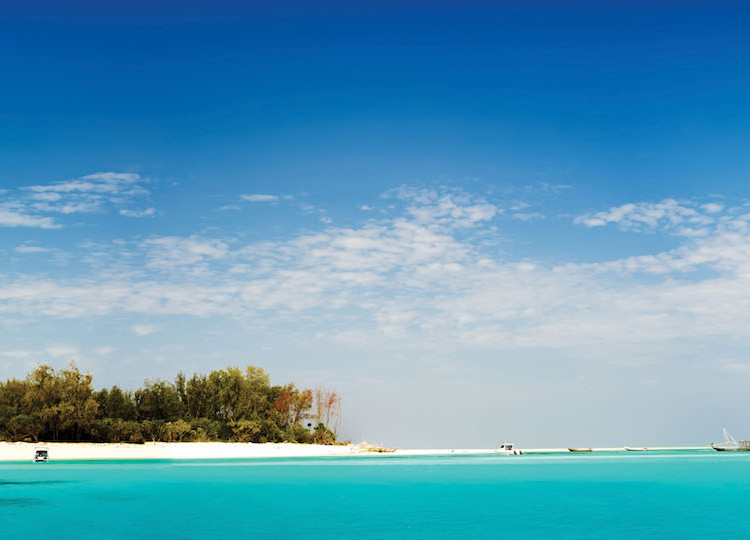 A landscape view of Tanzania's beautiful coastline, surrounded by pure blue waters.