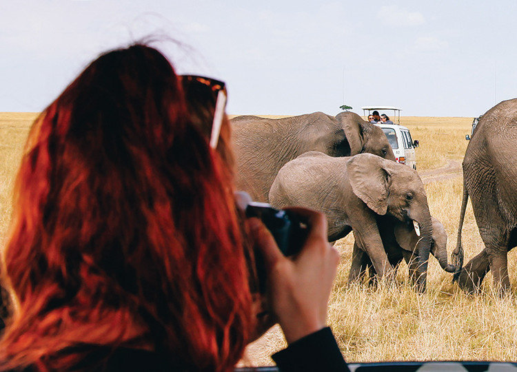 South East Adventure 24 Day | Topdeck Travel