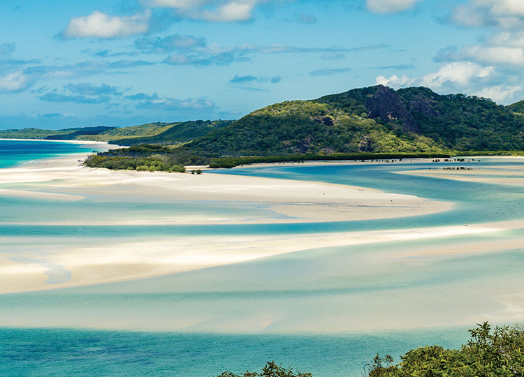 Tropical Suntanner  | Topdeck Travel