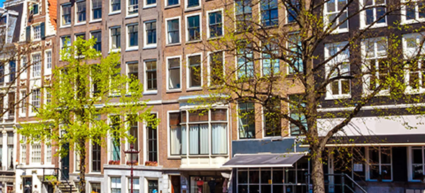 A colourful tulip field opposite Dutch buildings in Amsterdam