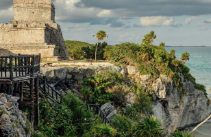 Delve Deep Mexico