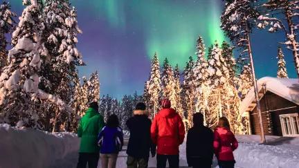 A group of Topdeck travellers gaze up at the beautiful Northern Lights amidst the snow covered forest of Lapland.