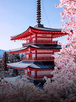 
          Tokyo
    