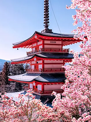 
          Japan
    