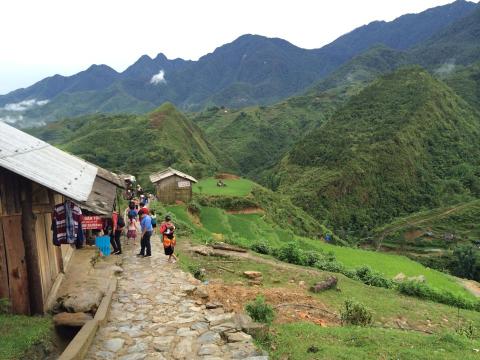 Green mountains and grass in Sapa