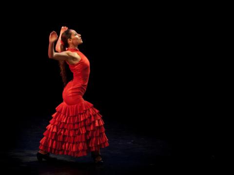 A Flamenco dancer in a red dress