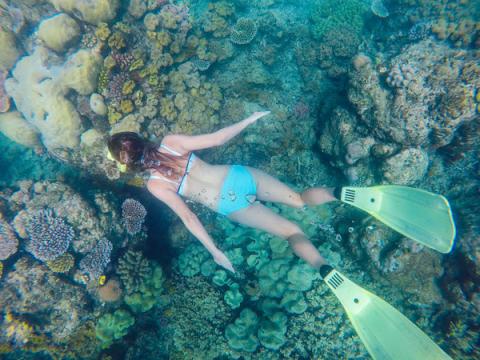 A woman swimming with flippers in the Great Barrier Reef