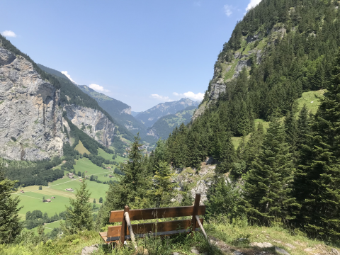 Thew swiss mountains, trees and grass in Lauterbrunnen