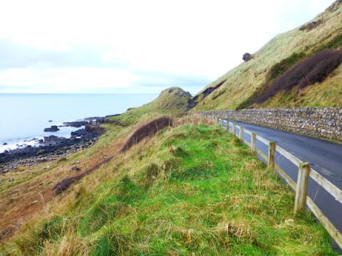 a road with grass and the sea on the side