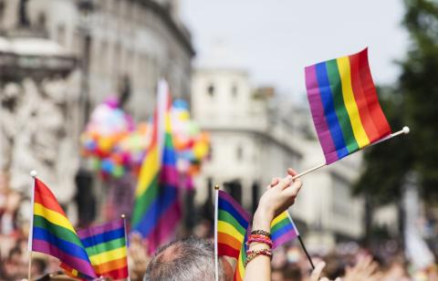 Small pride flags being held in the air