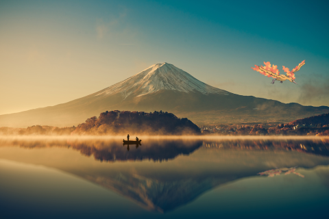 Mount Fuji with the Pokemon, molters, in the sky
