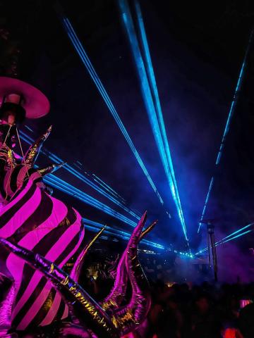 Blue and pink neon lights