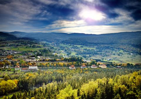 A village in Poland with many trees surrounding it