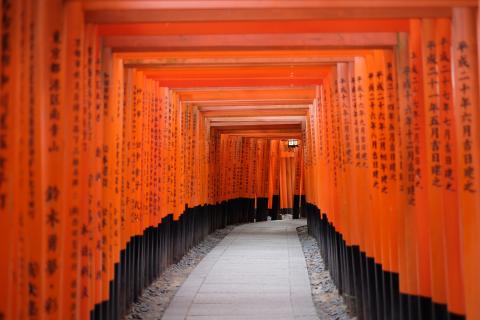 The orange torrii gates
