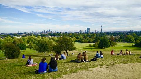 People sitting on grass in a park