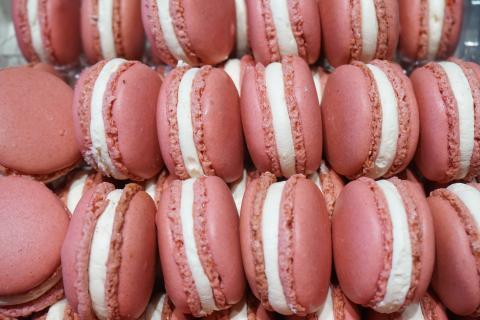 Rows of pink macarons