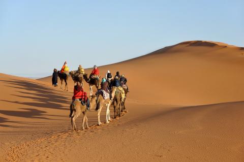 A group of people riding camels in the desert