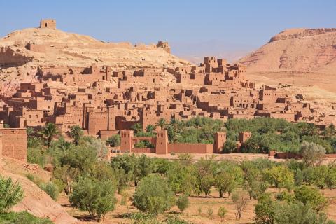 A cluster of houses and trees in Morocco