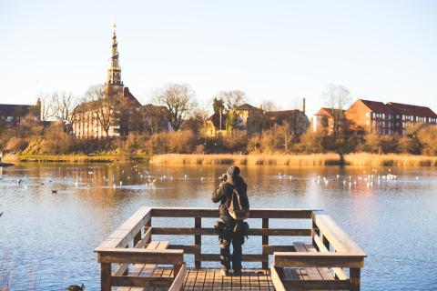 A person standing on a dock, looking out to the lake