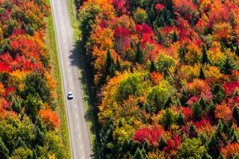 Birds Eye view of a road surrounded by forest