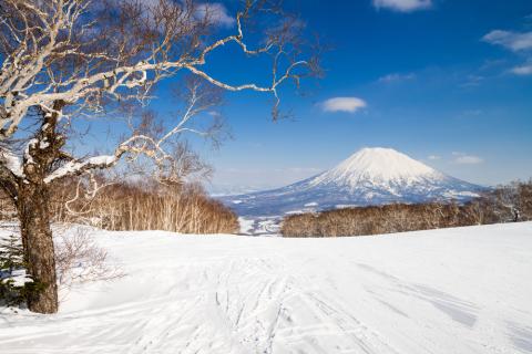 Snowy Niseko, Japan