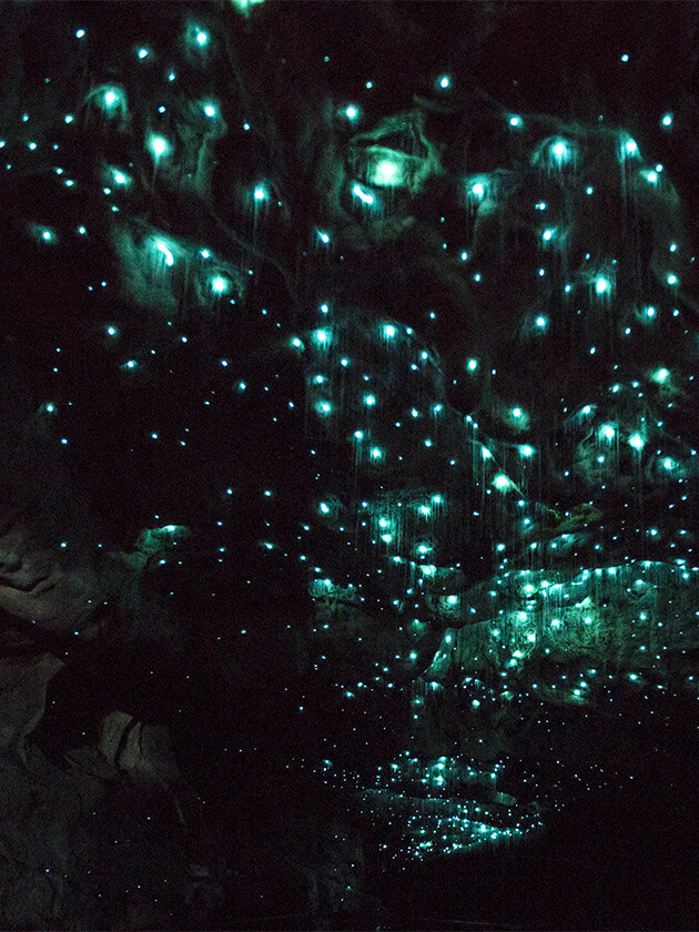 The famous New Zealand glowing Waitomo caves, filled with glow worms emitting blue lights.