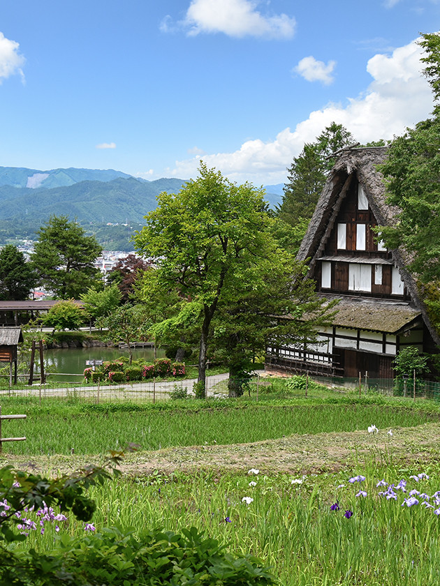 A view of the idyllic Hida Folk VIllage on a clear blue day.