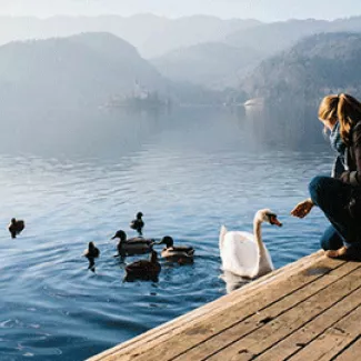 Woman feeding a swan at a lake