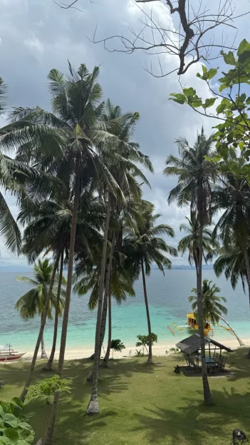 Palm trees stand on the green grass next to the sandy shore and blue ocean.