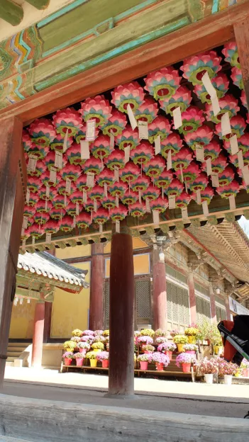 Coloured lanterns line the ceiling of Bulguksa Temple as decoration.